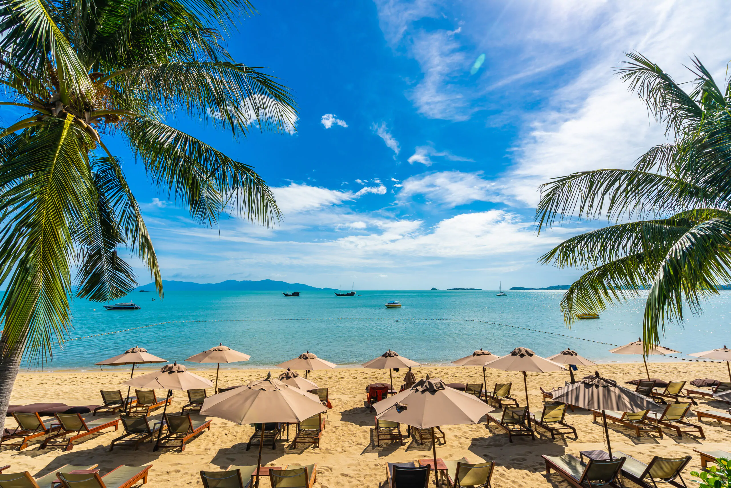 Beach Relaxation