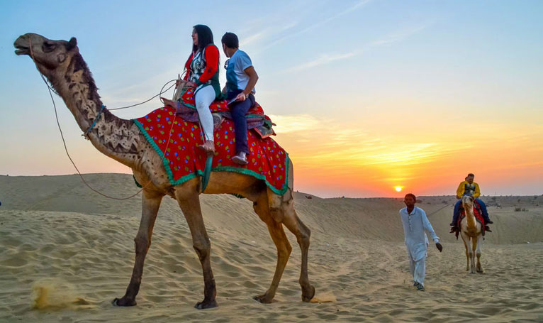 Camel Safari