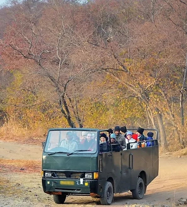 Canter Safari