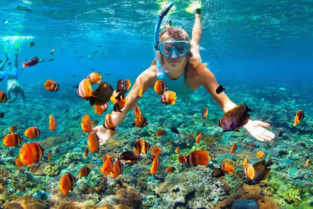Coral Reef Snorkeling