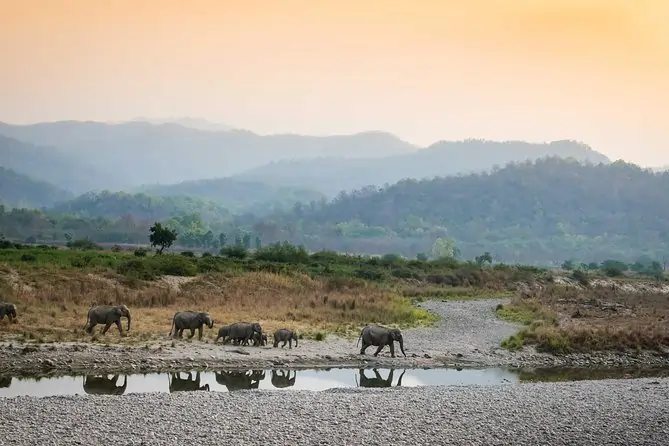 Dhikala Zone