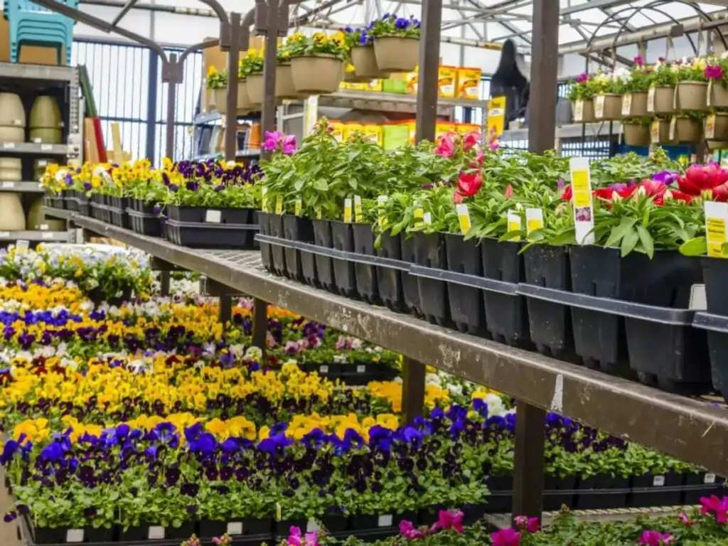 Flower Nurseries