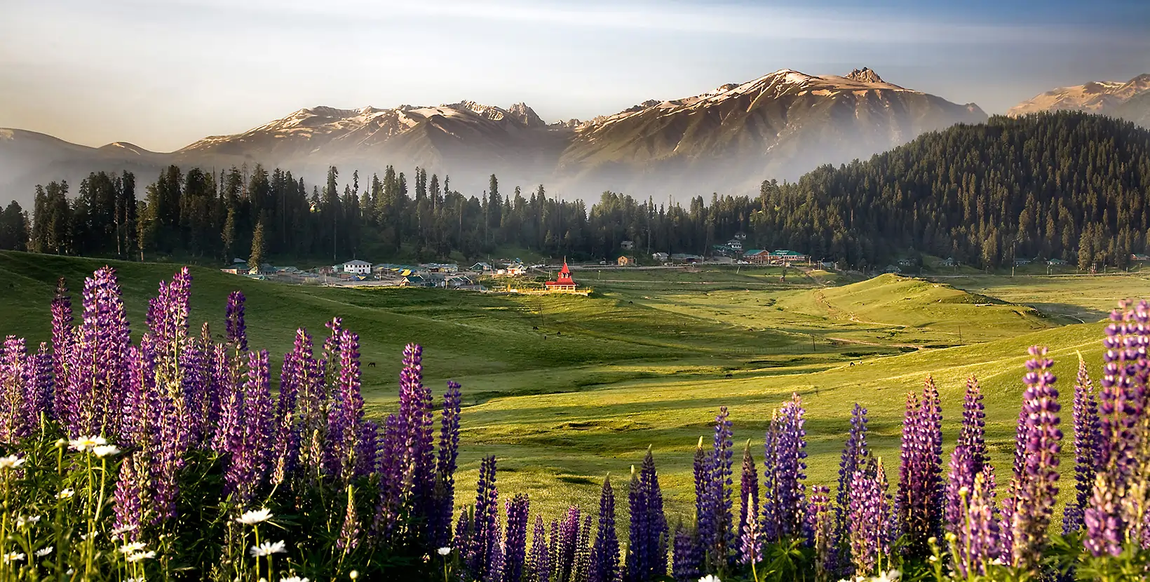 Gulmarg Meadows