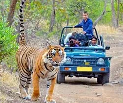 Jeep Safari