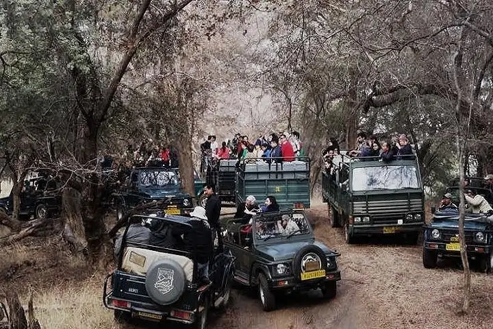 Jeep Safari
