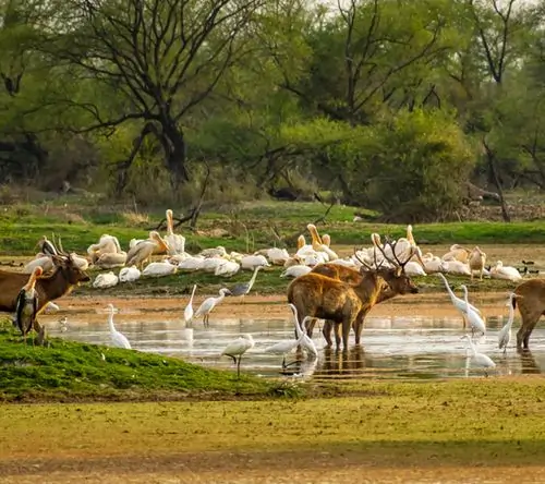 Kalatop Wildlife Sanctuary