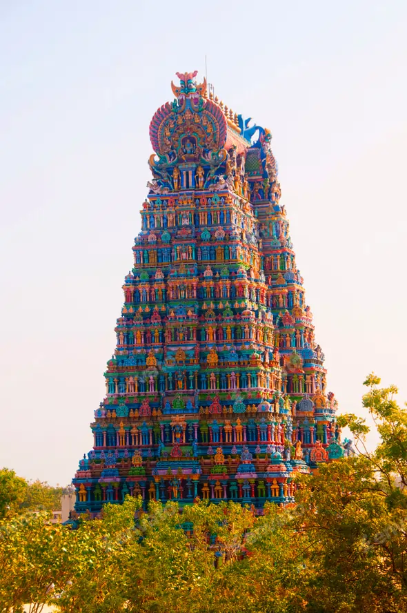 Meenakshi Temple Area