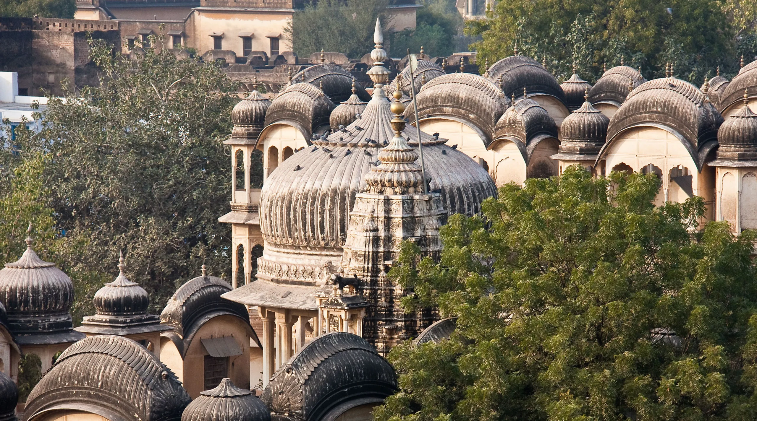 Nawalgarh