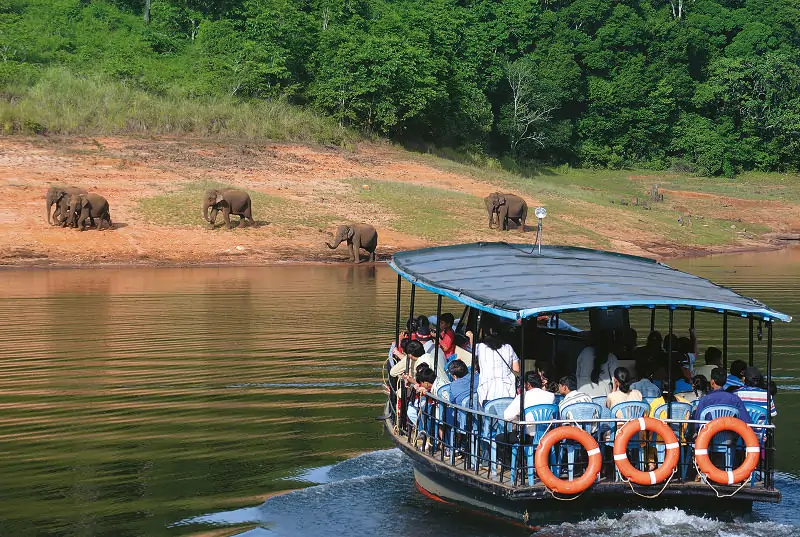 Periyar Lake Boat Safari