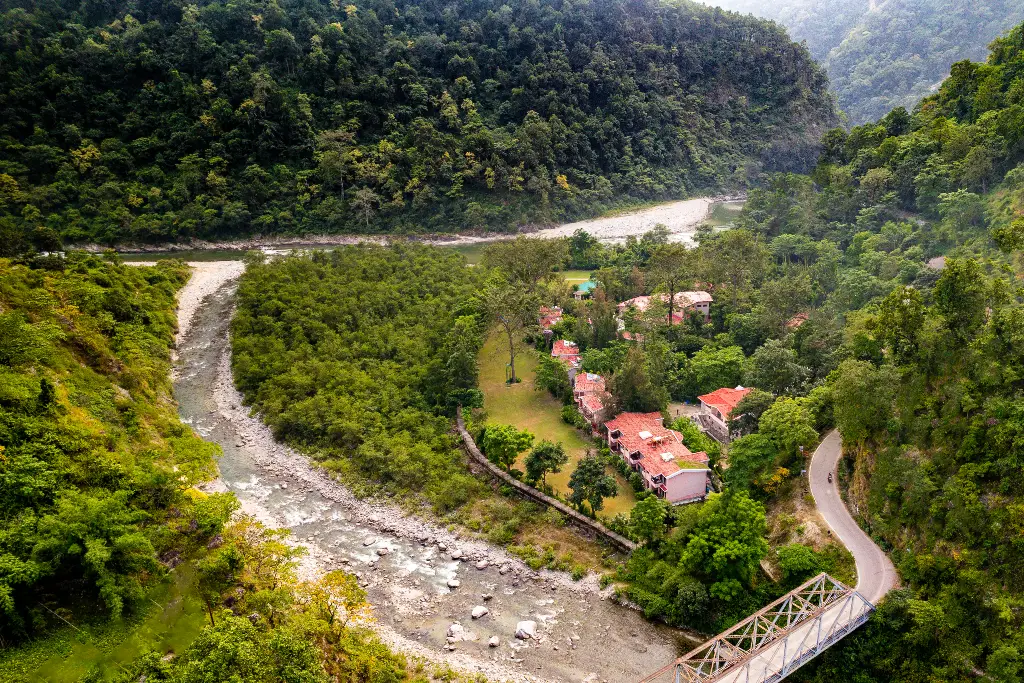 River & Forest Views