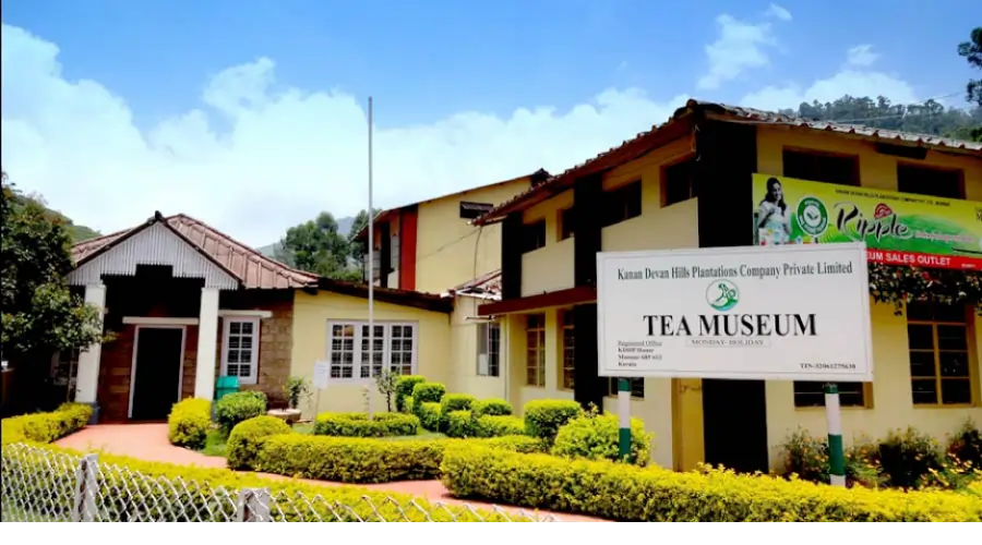 Tea Museum