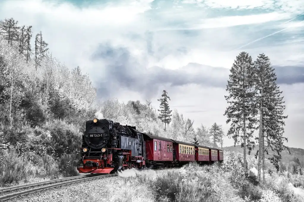 Toy Train Ride 
